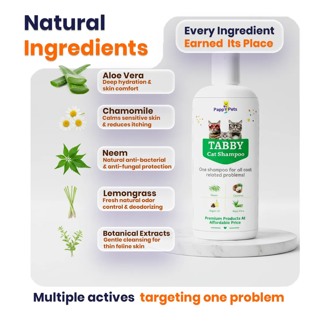 TABBY Cat Shampoo image 4